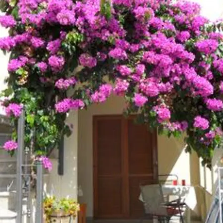 Milin By The Sea-zadar-diklo *