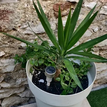 Milin By The Sea-zadar-diklo Apartment