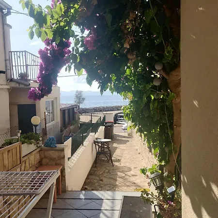 Milin By The Sea-zadar-diklo Apartment Zadar