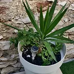 Milin By The Sea-zadar-diklo Daire