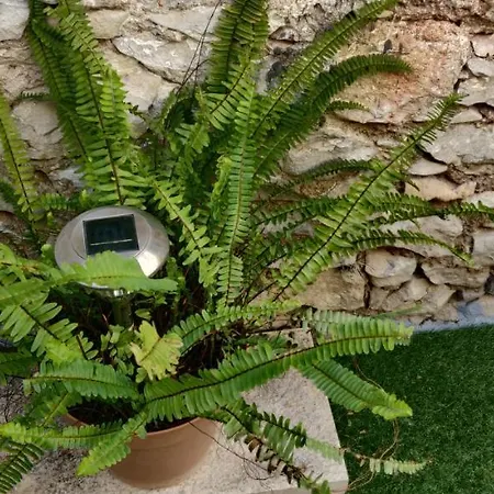 Milin By The Sea-zadar-diklo