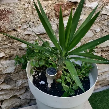 Milin By The Sea-zadar-diklo דירה