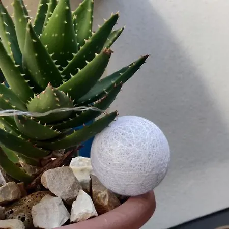 Milin By The Sea-zadar-diklo זאדאר